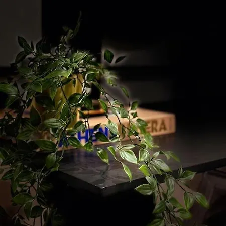 Ferienhaus Luxury, Interior-designed, Spacious